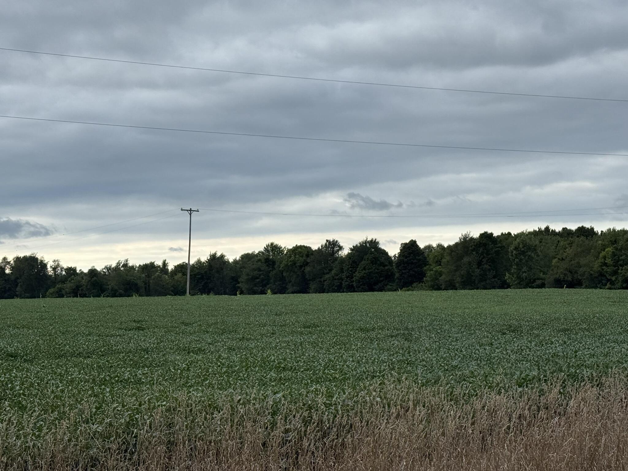 5160 Quackenbush Road