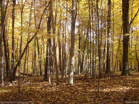 1451 Barrwood Trail Oxford Village MI 48371