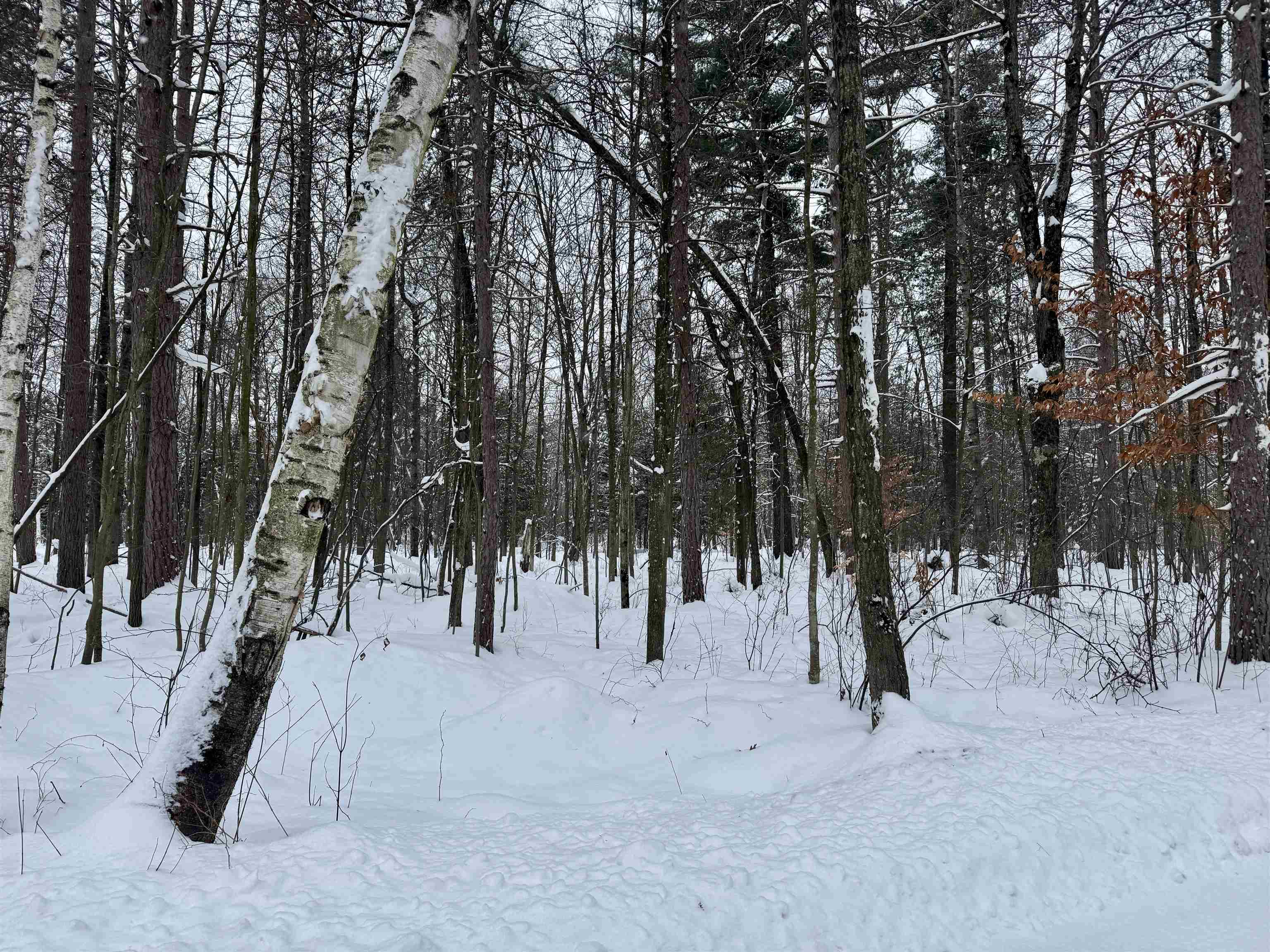 Parcel A 32 1/2 Road