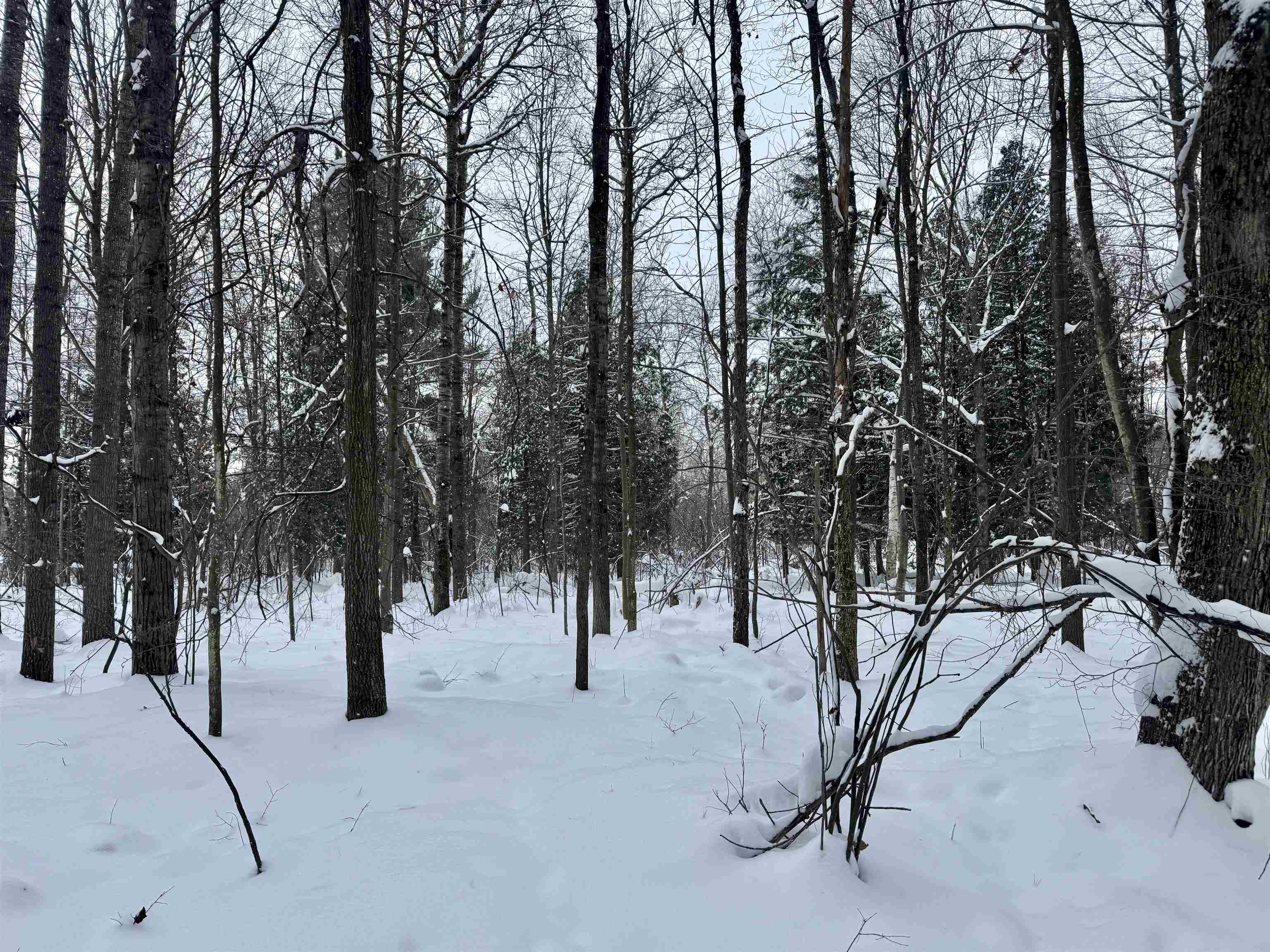 Parcel A 32 1/2 Road