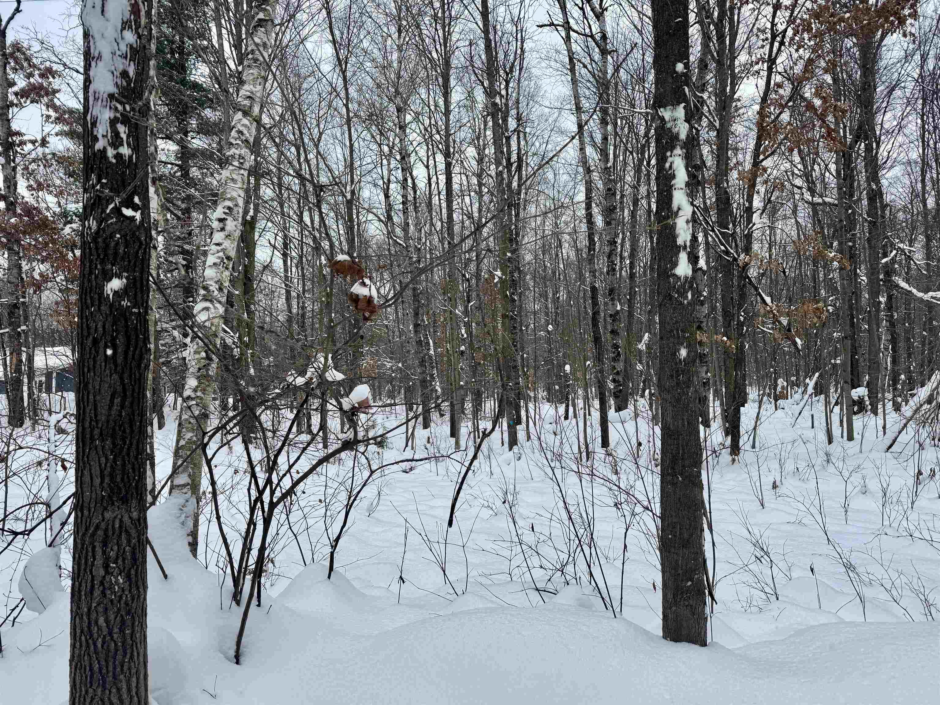 Parcel A 32 1/2 Road