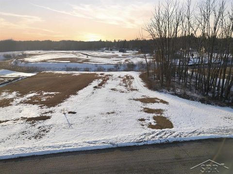 Lot 8 E Shoreline Drive Hope Township MI 48628