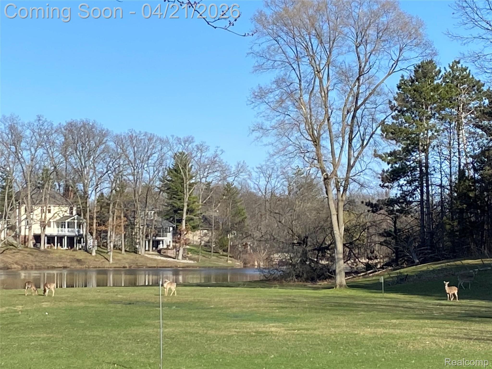 8299 Ridge Road