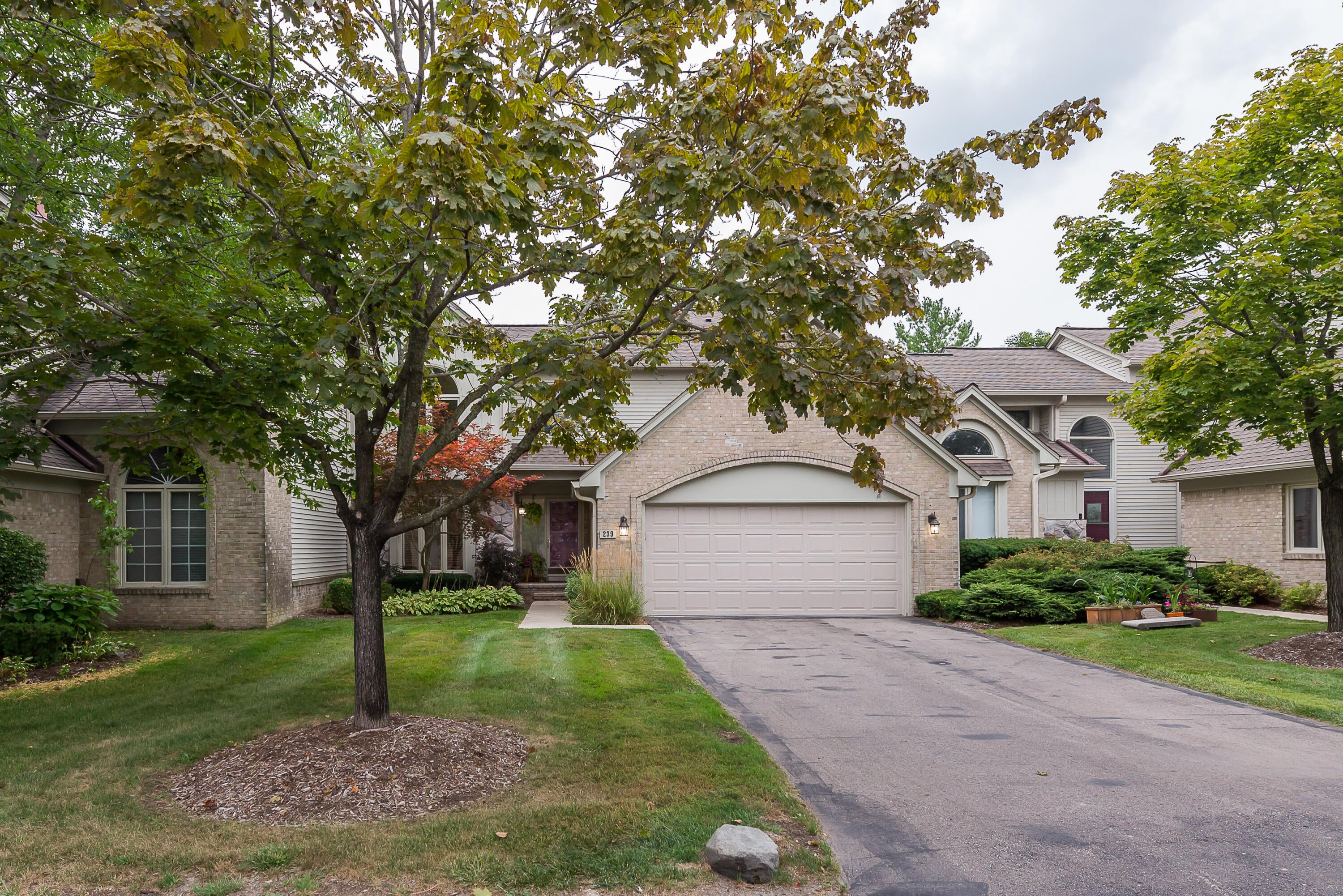 239 Saint Lawrence Boulevard