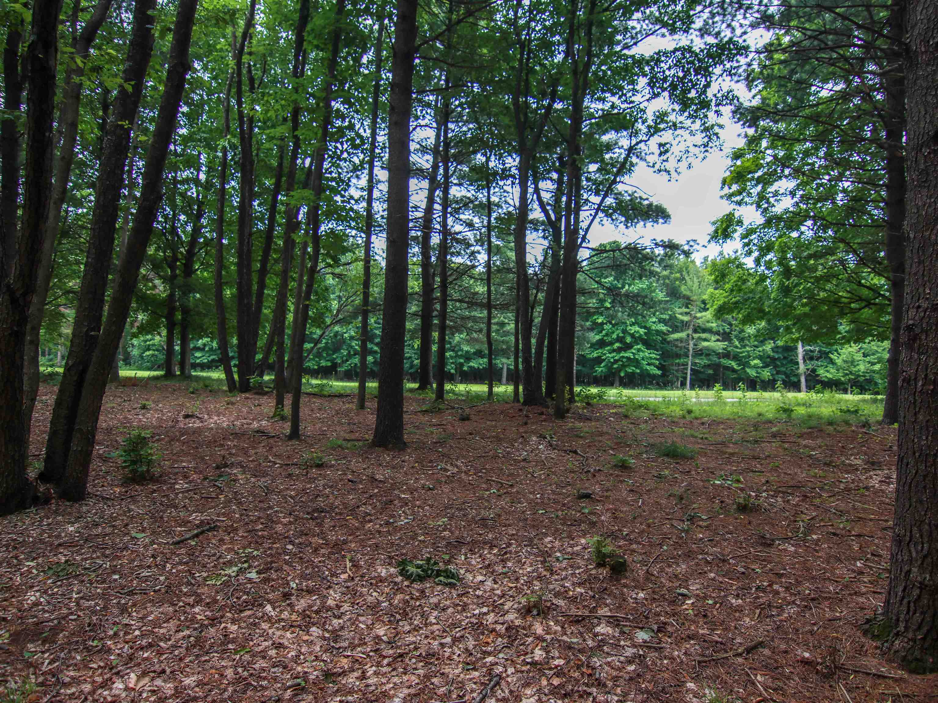 0000- 41 & 42 Trailside Drive