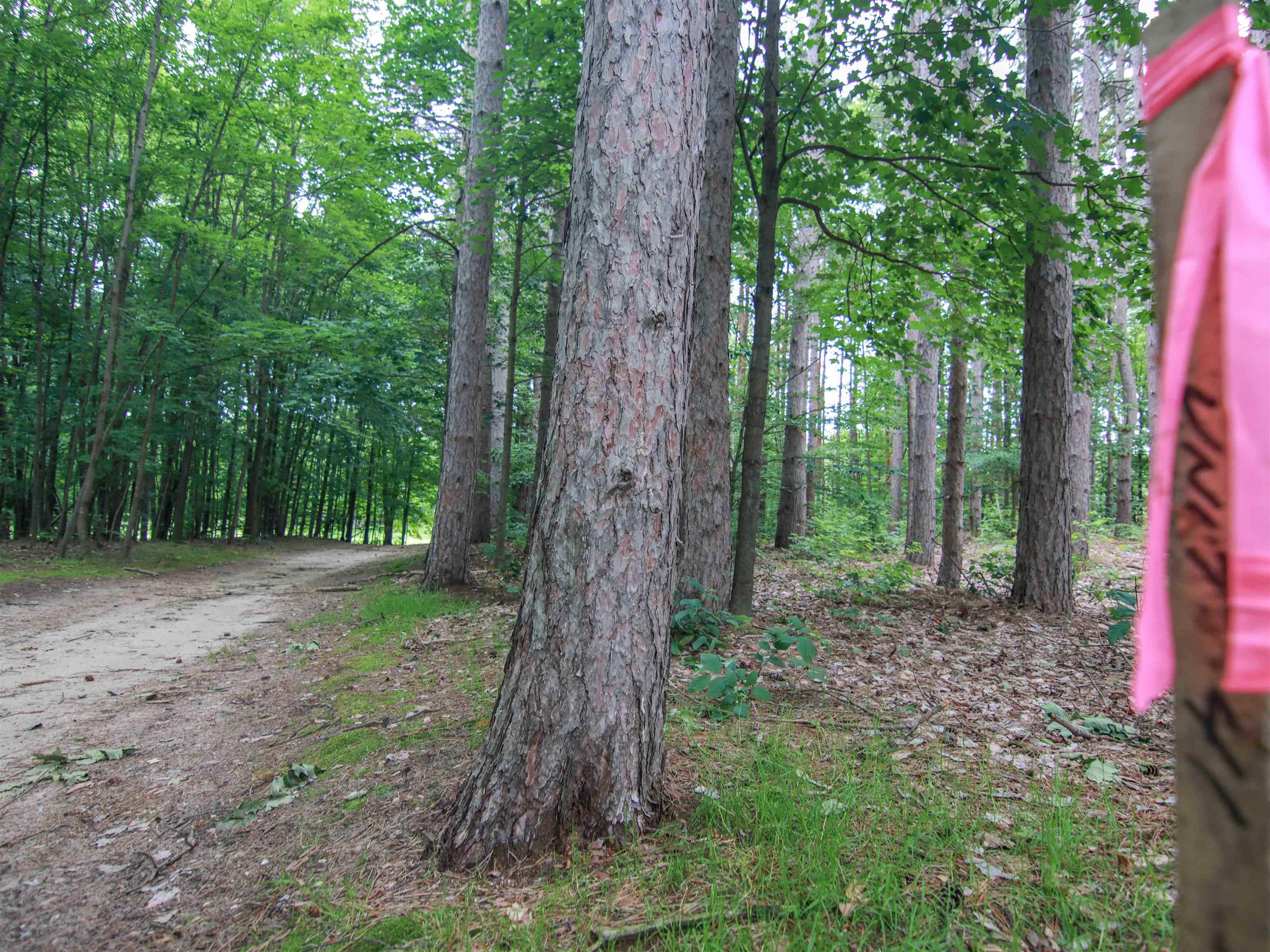 0000- 41 & 42 Trailside Drive