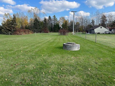 Tiny photo for 8031 Eighth Street, Delaware Township, MI 48434 (MLS # 58050193322)