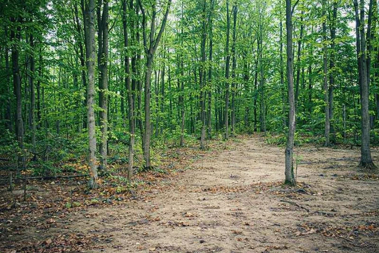 8886 Cedar Creek Drive