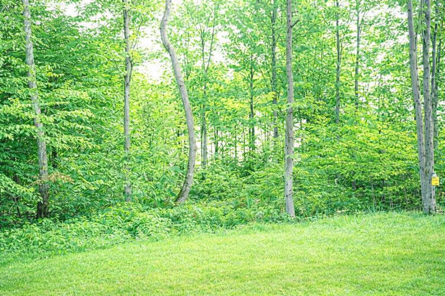 8886 Cedar Creek Drive