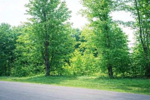 8886 Cedar Creek Drive Springvale Township MI 49770