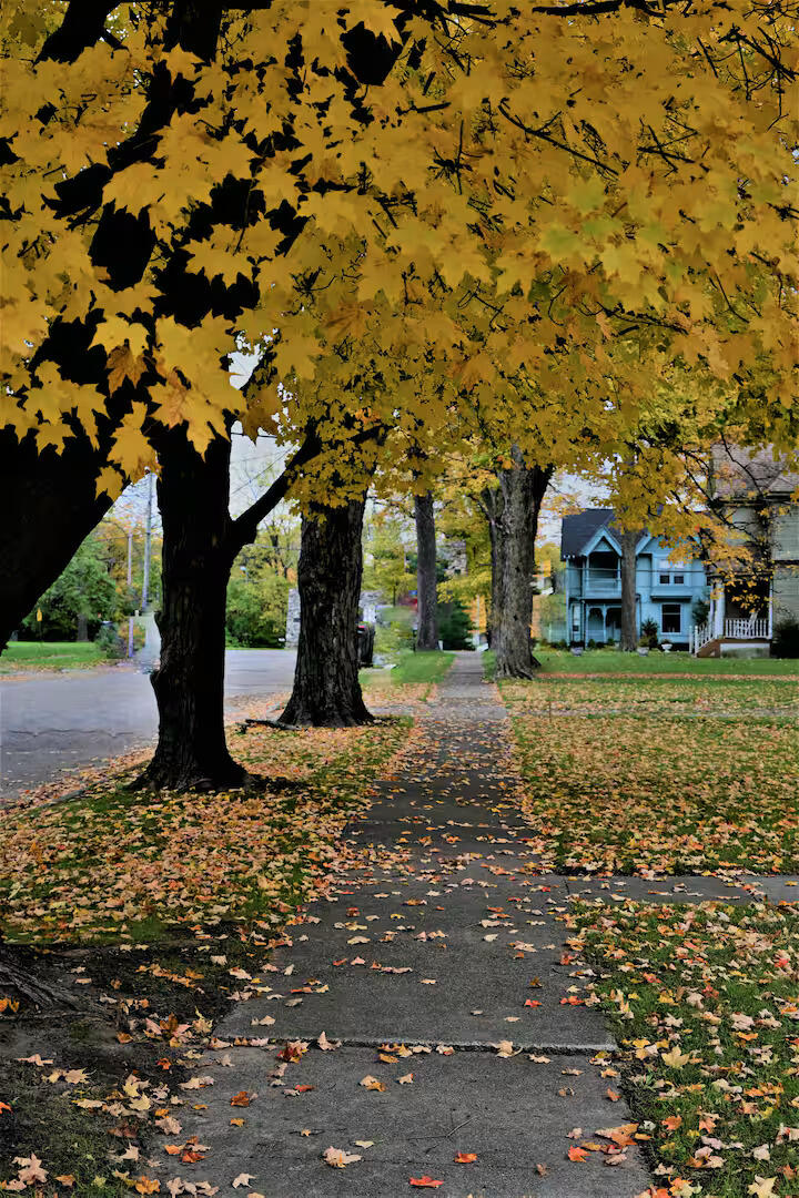 402 Jefferson Street