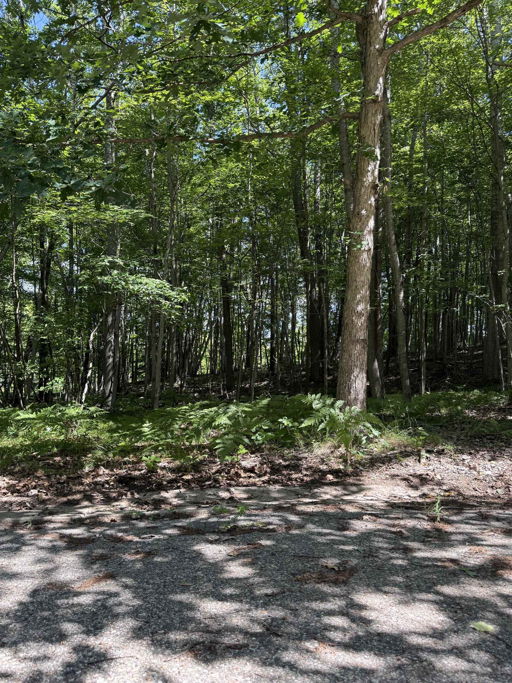 TBD Rivers Edge Trail