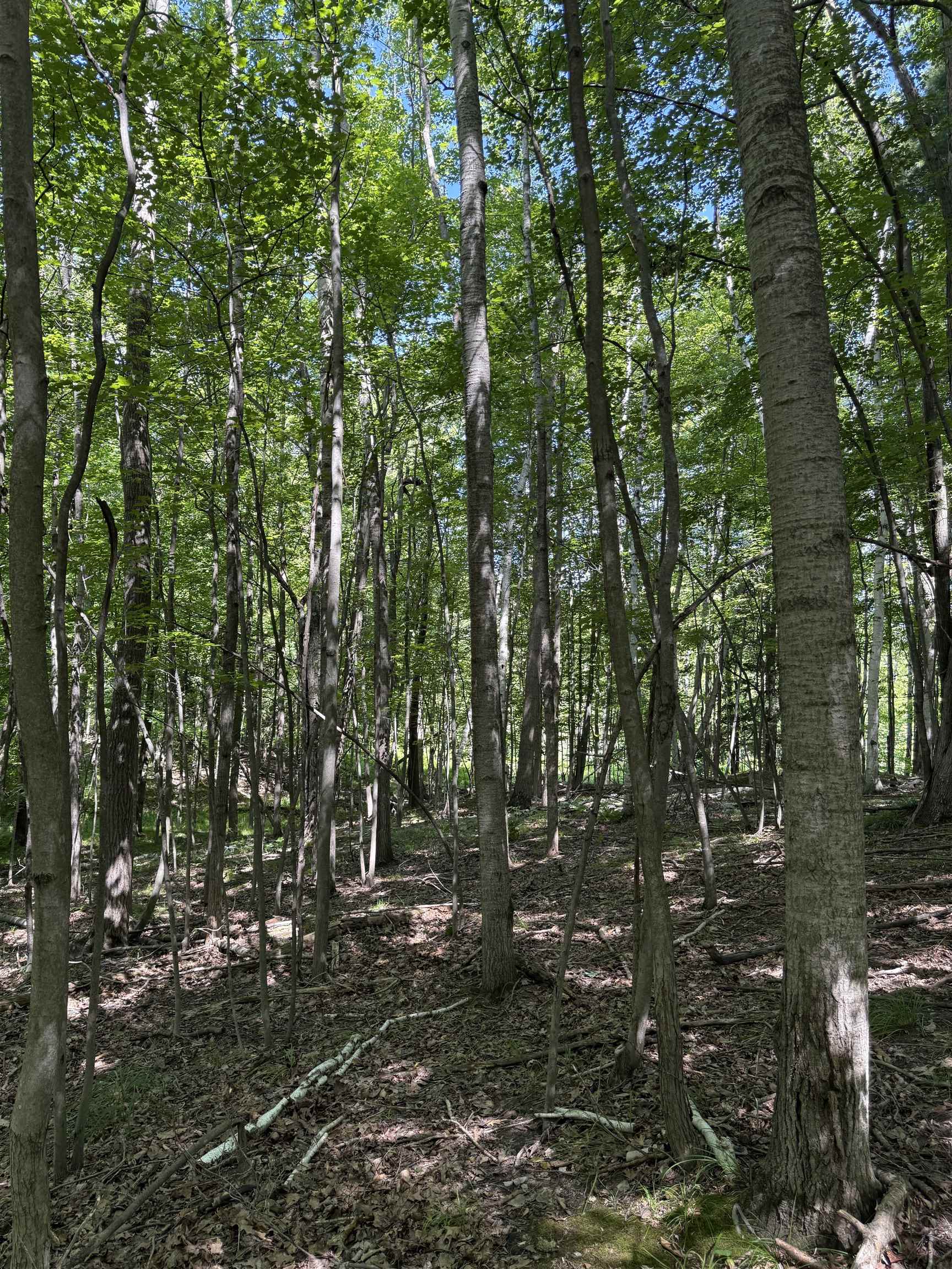 TBD Rivers Edge Trail