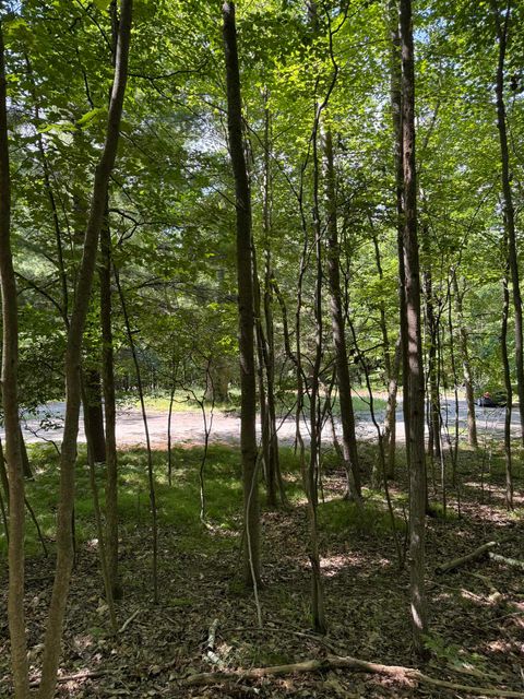 TBD Rivers Edge Trail Deerfield Township MI 48858