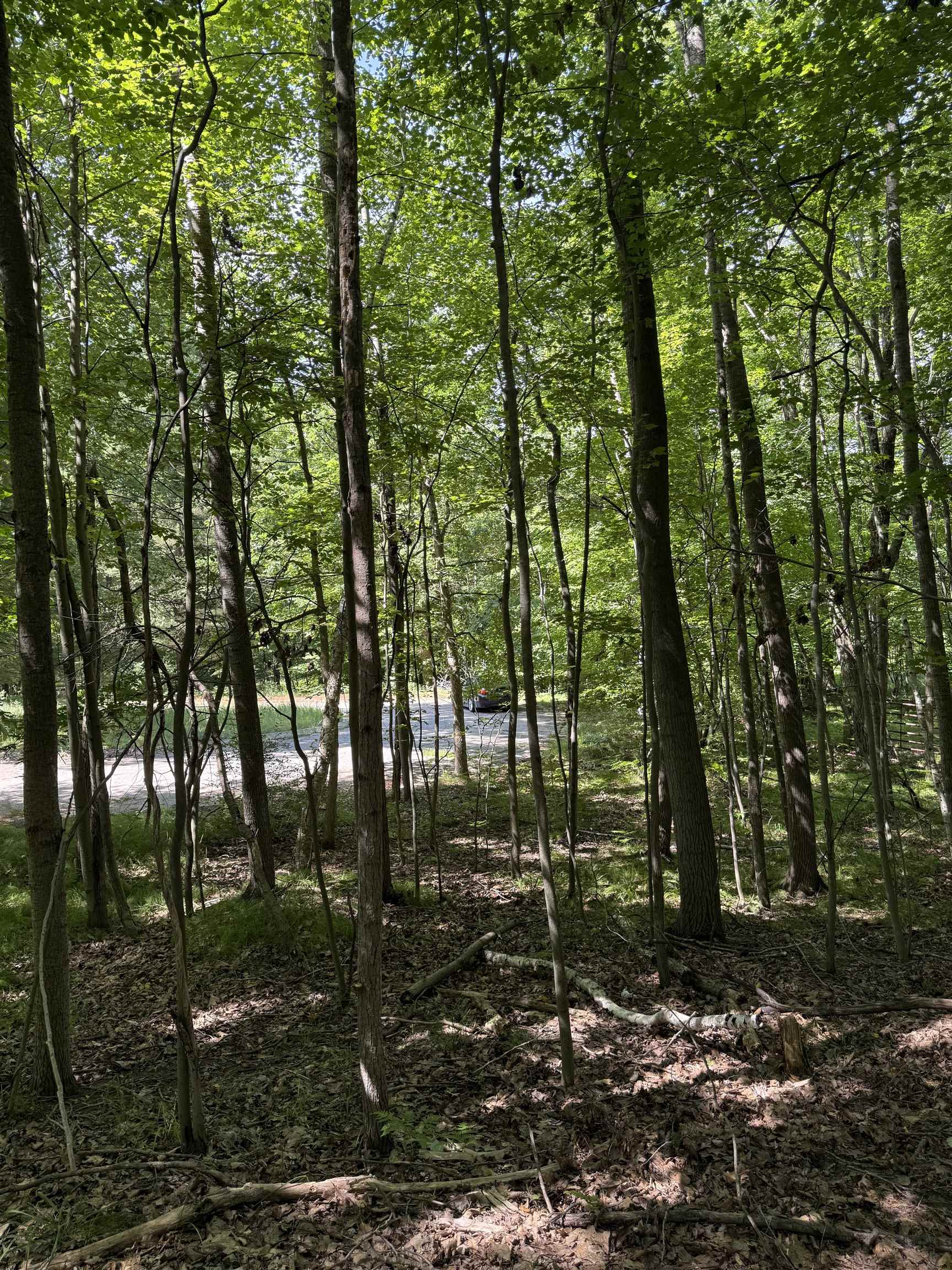 TBD Rivers Edge Trail