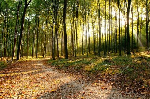 5408 W Fawn Terrace Lincoln Township MI 48622