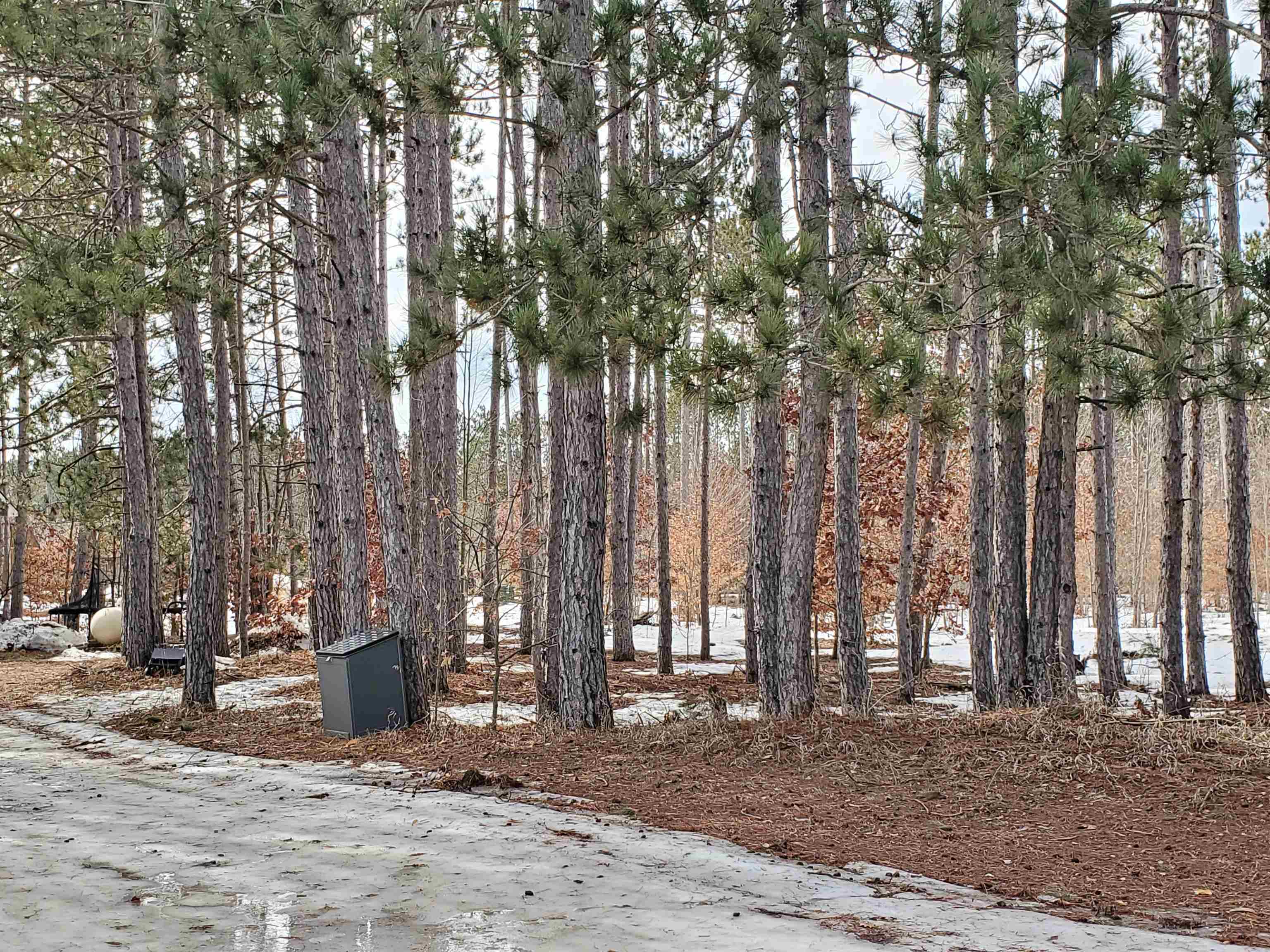 11756 SW Coster Road