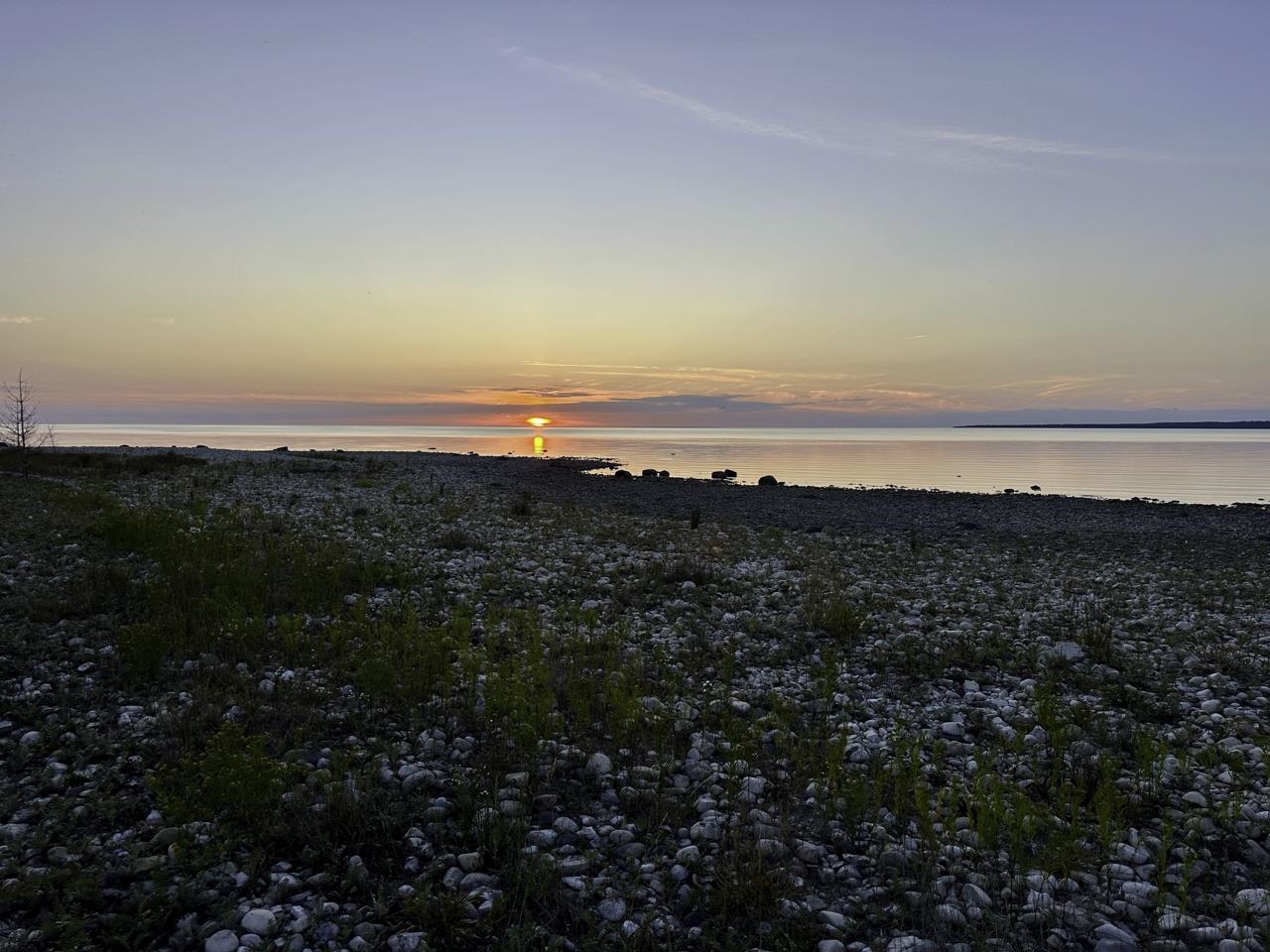 TBD Mrs Reddings Trail