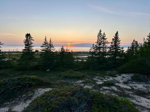 TBD Mrs Reddings Trail Peaine Township MI 49782