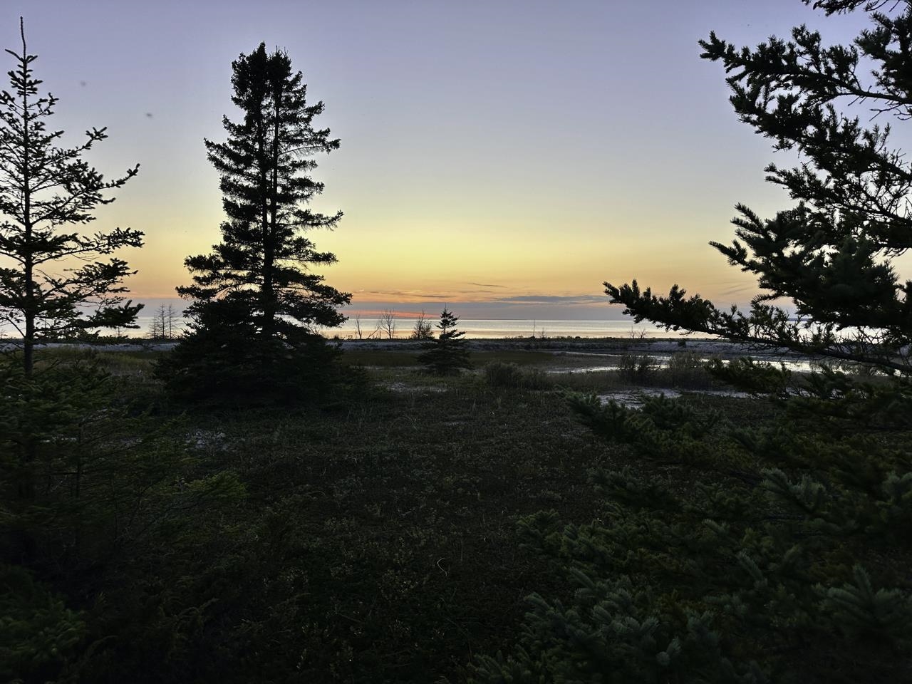 TBD Mrs Reddings Trail