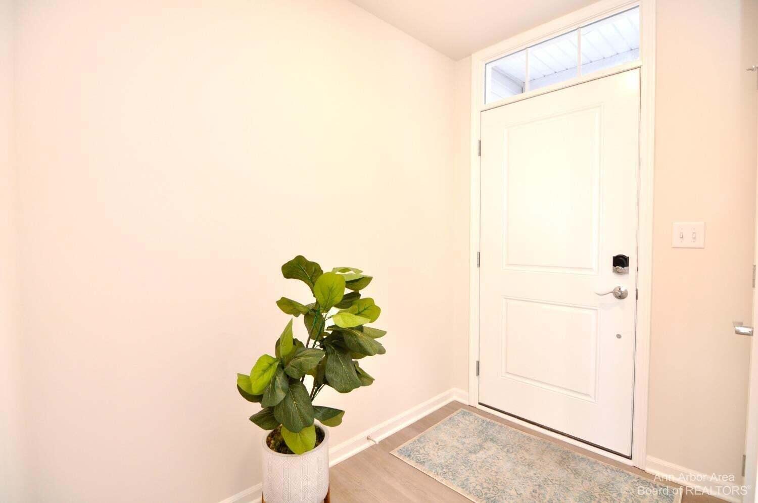 1104 Salt Springs Drive