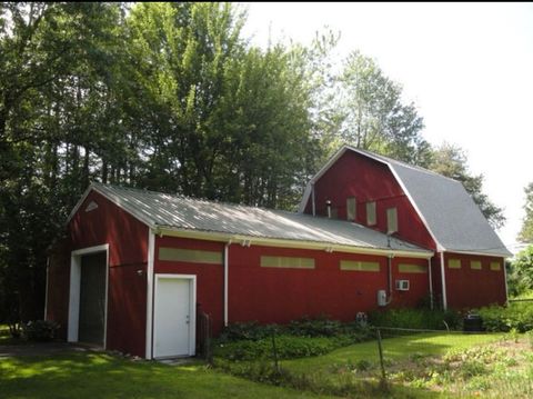 A home in DrydenTownship_Lapeer