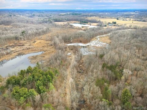 0 Lovejoy Road Deerfield Township MI 48418