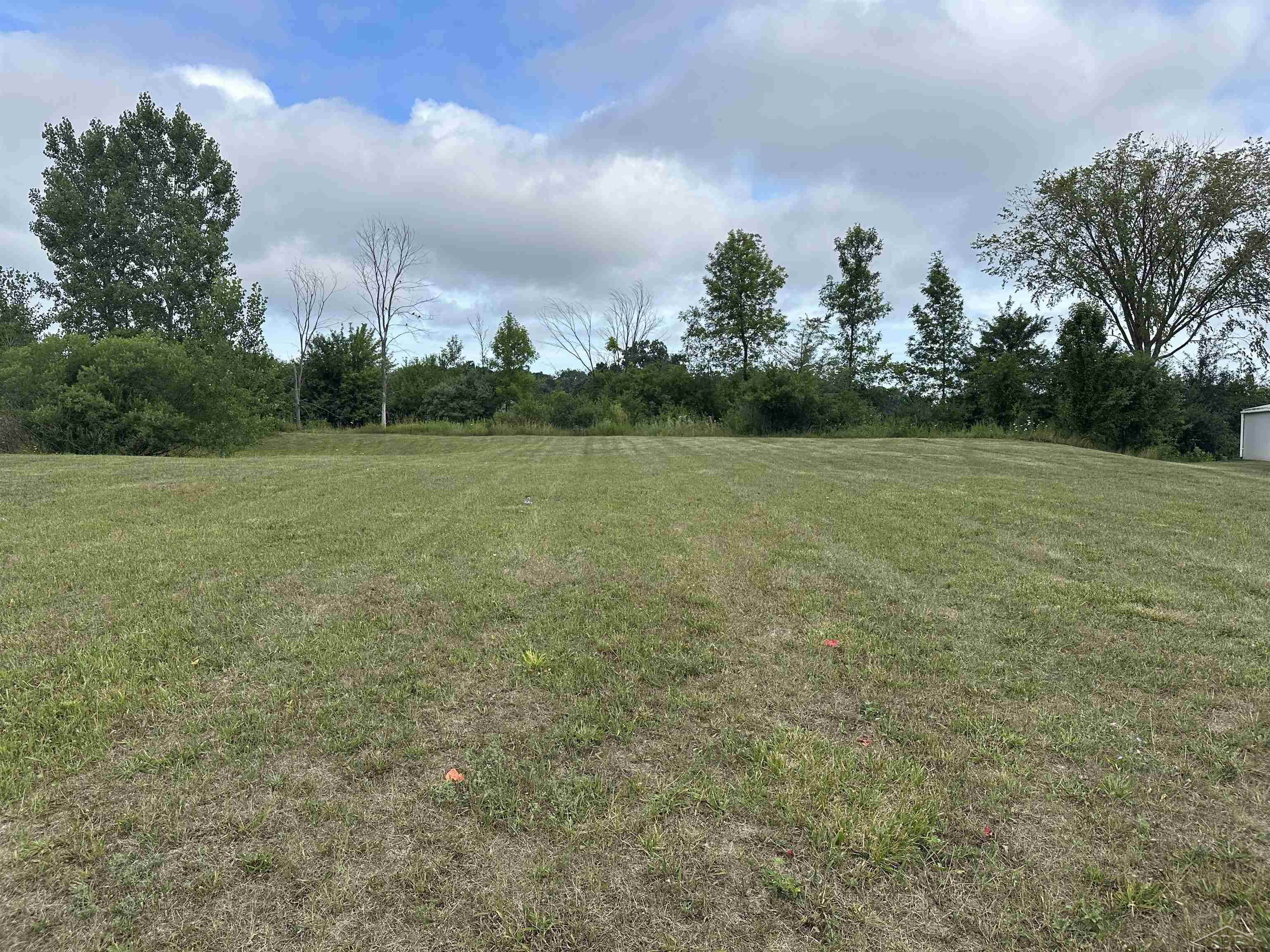 Saginaw Township, Michigan 48603, United States, ,Land,Active,91122