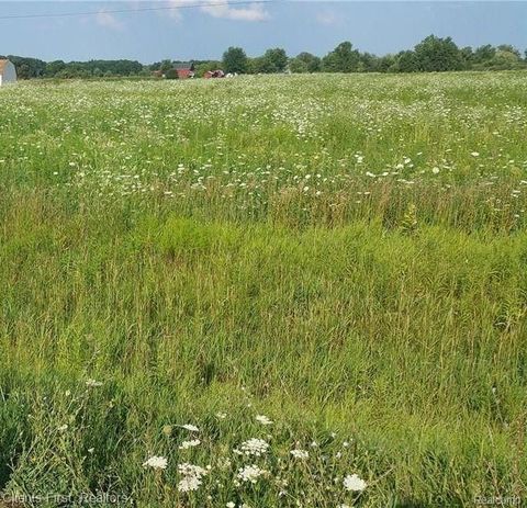 0 CAPAC Road Mussey Township MI 48014