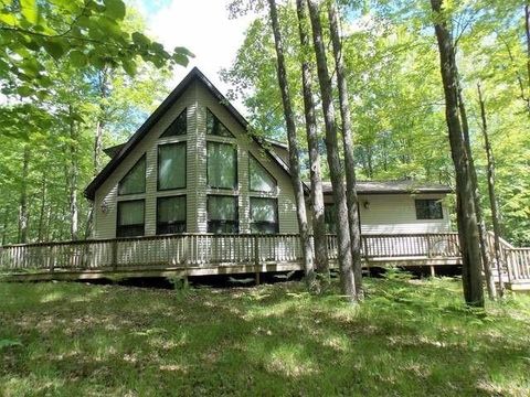 2429 Wolverine Court Lincoln Township MI 48622