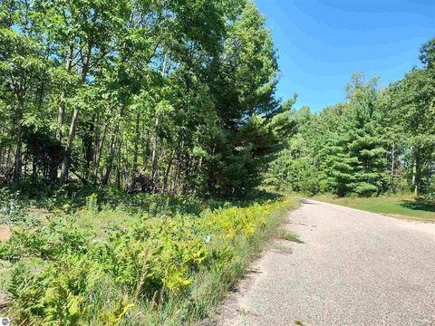 N Circle E Surrey Township MI 48622