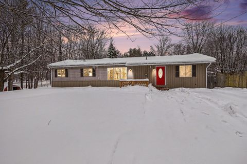 6148 O'Neil Street Dalton Township MI 49457