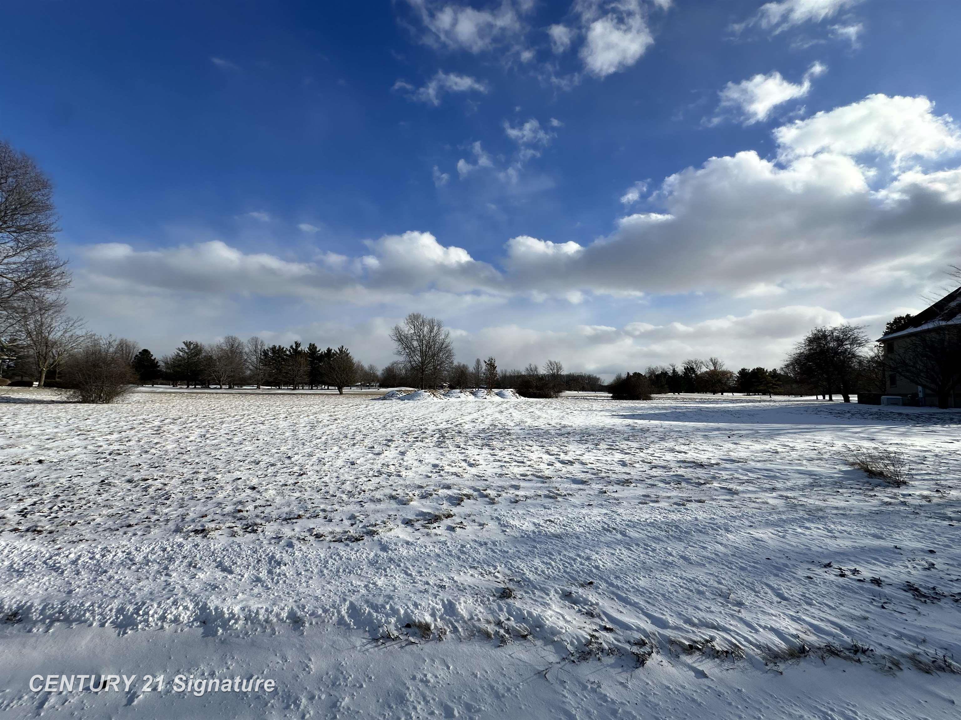 1117 Carrie Lynn Drive