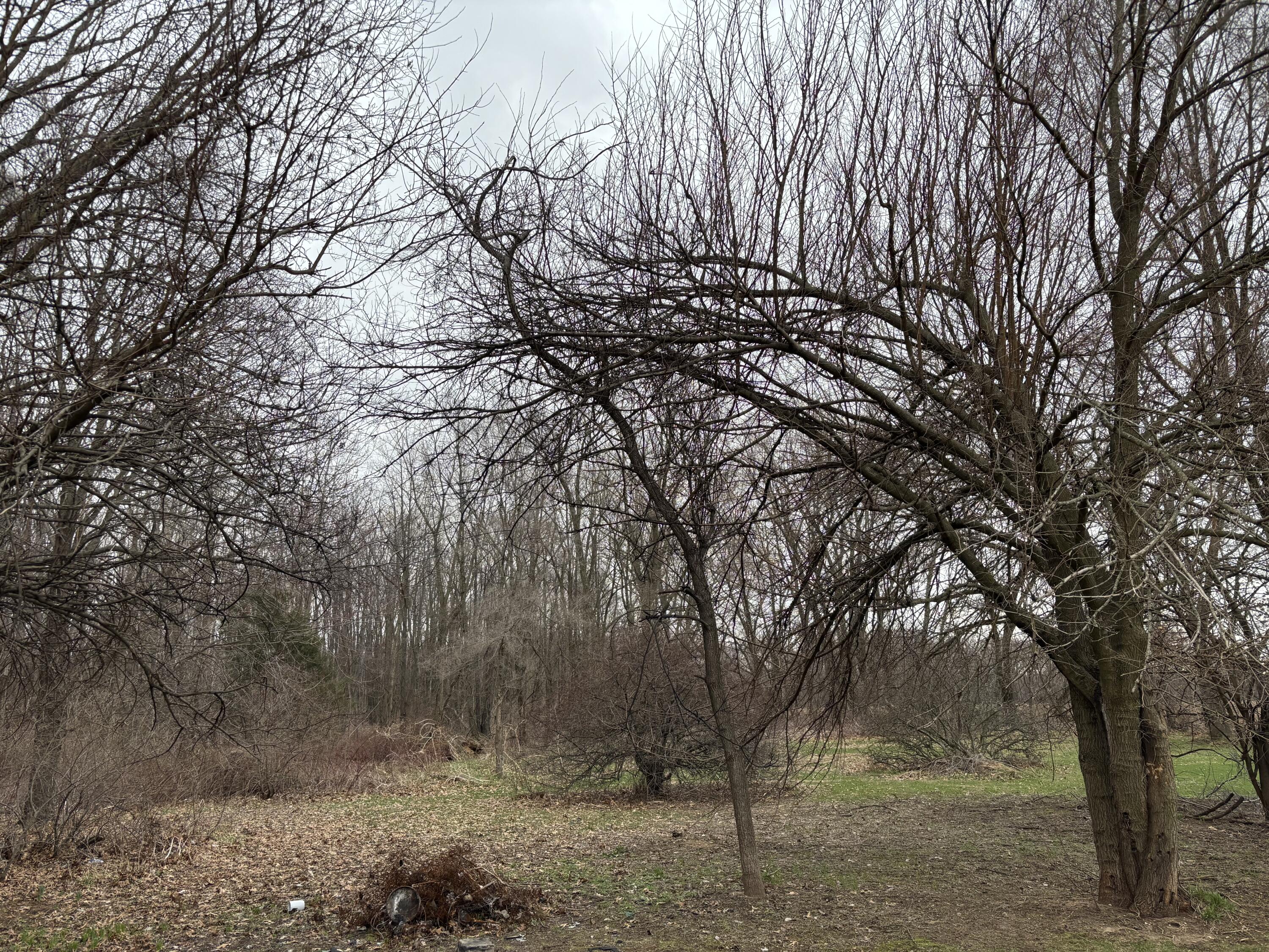 17932 Indian Prairie Road