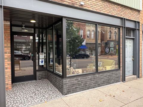 119 N Main Street Adrian City MI 49221