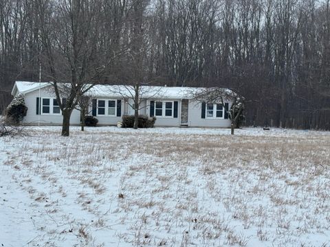 3036 Blue Ridge Road Napoleon Township MI 49234
