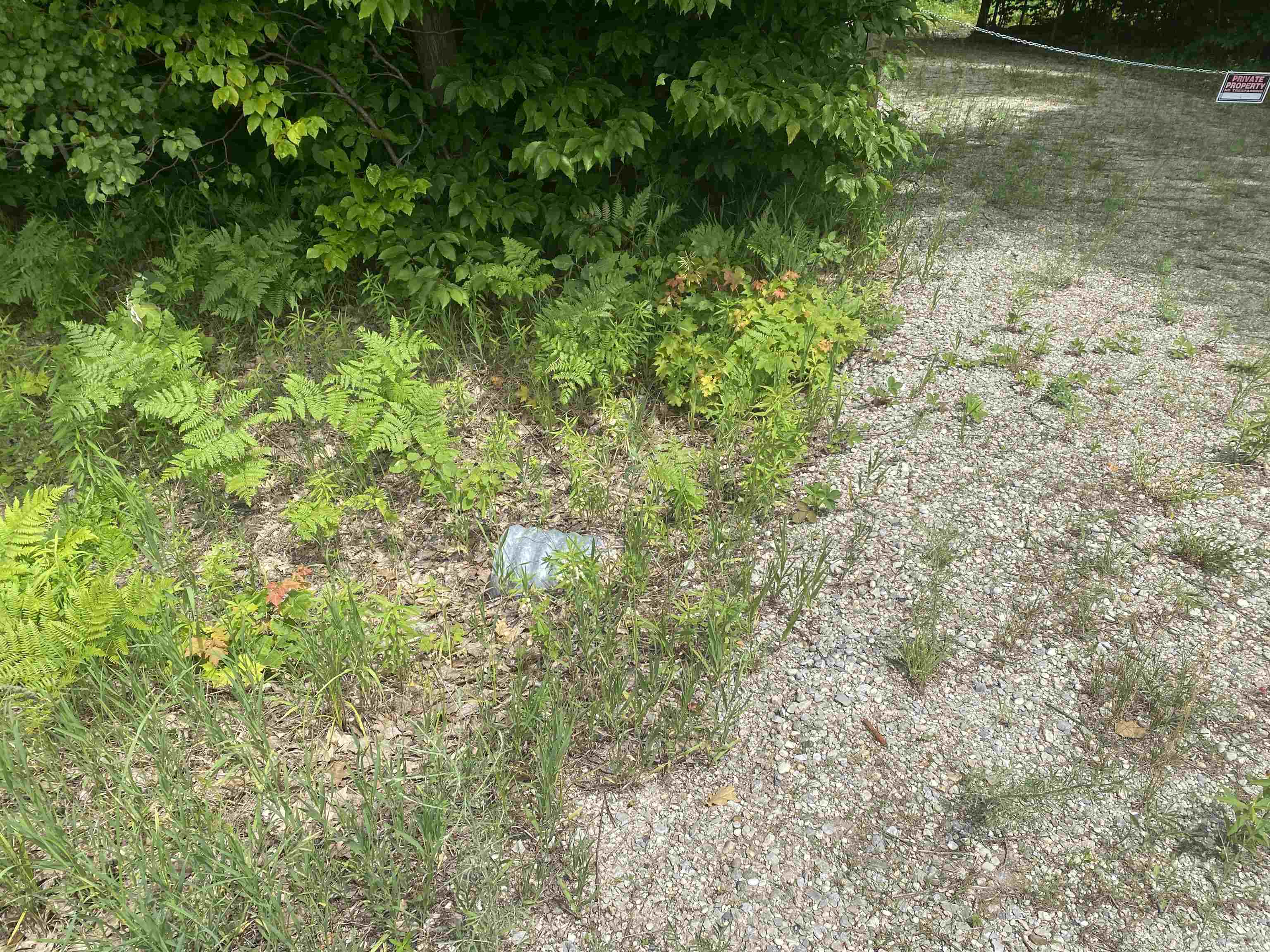 Green Briar Road