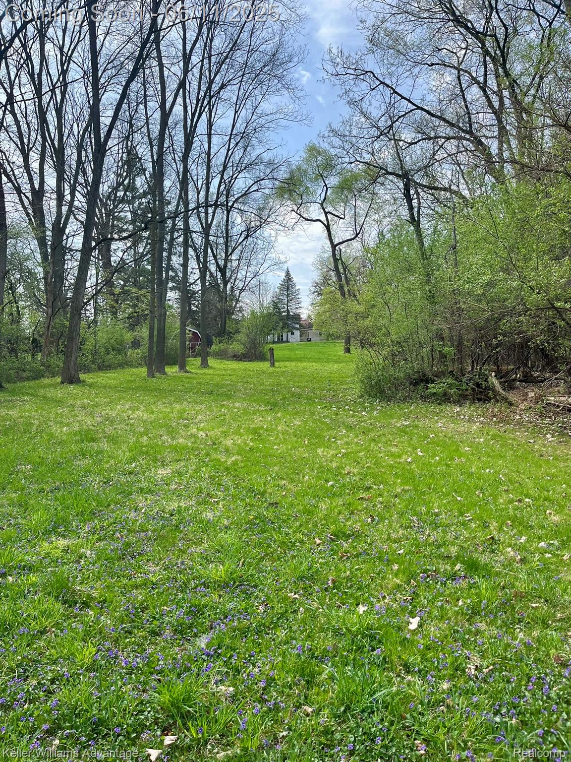 46910 6 Mile Road