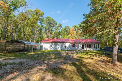 Photo of 11256 S Roby Lake Drive, Unknown, MI 49304 (MLS # 65025055171) Photo of 11256 S Roby Lake Drive, Unknown, MI 49304 (MLS # 65025055171)