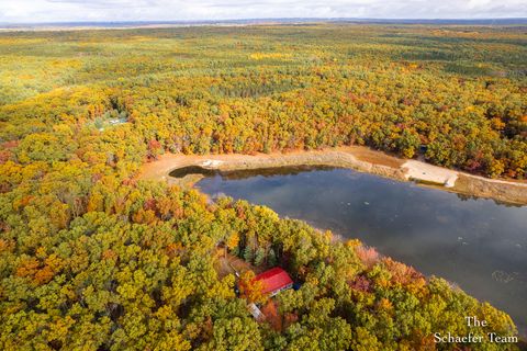 Photo of 11256 S Roby Lake Drive, Unknown, MI 49304 (MLS # 65025055171)