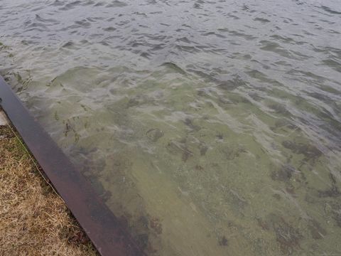 Tiny photo for 7481 E Cedar Lake Drive, Oscoda Charter Township, MI 48738 (MLS # 58050203242)