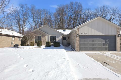 46602 Meadowview Drive Shelby Charter Township MI 48317