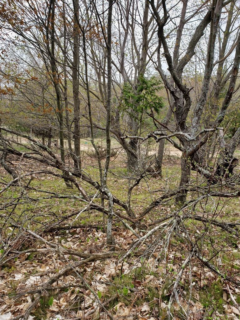 Parcel A Lake Bluff Drive
