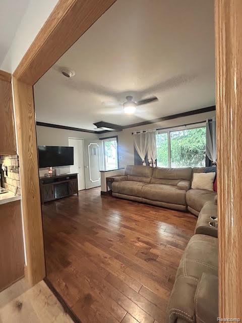 Madison Heights City, Michigan 48071, United States, 3 Bedrooms Bedrooms, ,2 BathroomsBathrooms,Residential,Active,215578