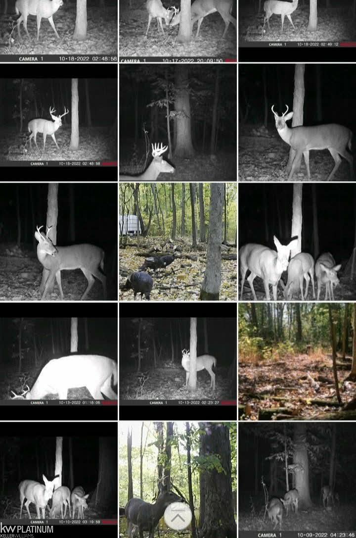 00 Fair Haven Avenue