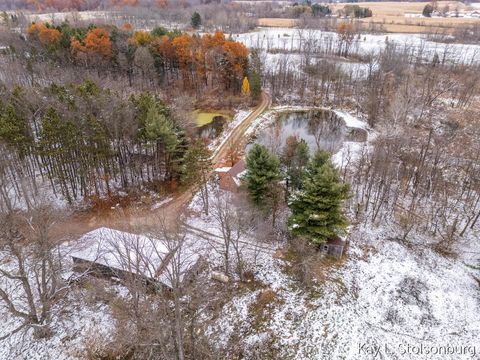 Tiny photo for 5508 E Butler Road, Assyria Township, MI 49050 (MLS # 65025058022)