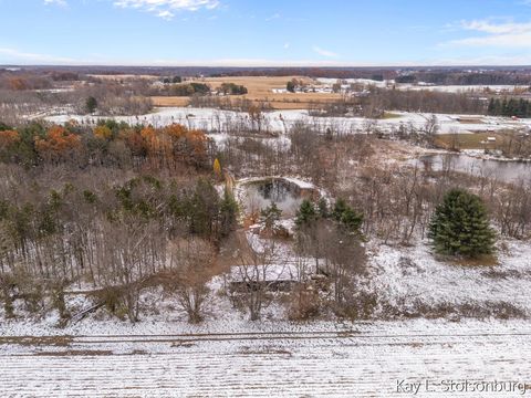 Tiny photo for 5508 E Butler Road, Assyria Township, MI 49050 (MLS # 65025058022)