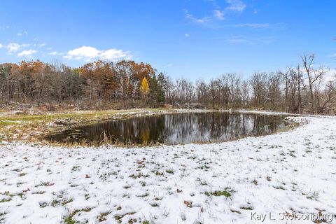 Tiny photo for 5508 E Butler Road, Assyria Township, MI 49050 (MLS # 65025058022)