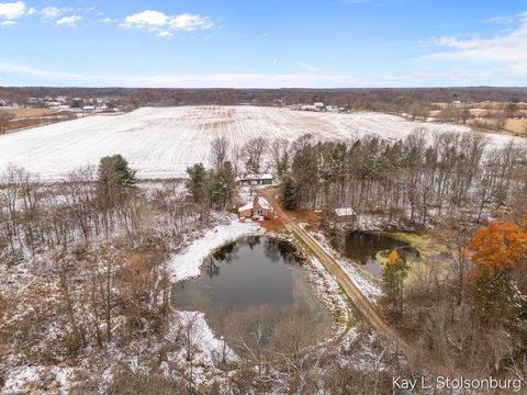 Tiny photo for 5508 E Butler Road, Assyria Township, MI 49050 (MLS # 65025058022)