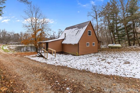 Tiny photo for 5508 E Butler Road, Assyria Township, MI 49050 (MLS # 65025058022)